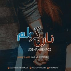 Sobhan Behroz   –  Naren Golem
